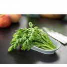 1200 Count Vegetable Garland Chrysanthemum Greens Seeds Spinach Asian