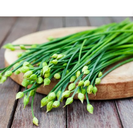 600 Count Vegetable Chinese Garlic Chives Seeds Green Onion Scallion