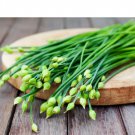 600 Count Vegetable Chinese Garlic Chives Seeds Green Onion Scallion
