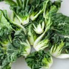 1200 Count Vegetable Baby White Stem Bok Choy Seeds Canton Pak Choi