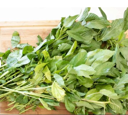 3000 Count Vegetable Molokhia Seeds (Egyptian Spinach) Corchorus Olitorius