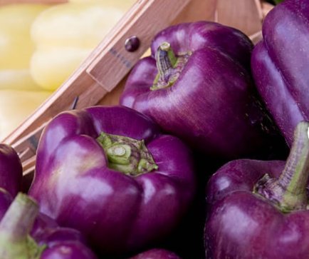 600 Count Vegetable Purple Beauty Sweet Bell Pepper Seeds Violet Belle