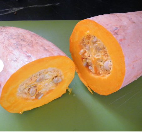 60 Count Vegetable Jumbo Pink Banana Squash Seeds Butternut Pumpkin Winter