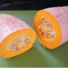 60 Count Vegetable Jumbo Pink Banana Squash Seeds Butternut Pumpkin Winter