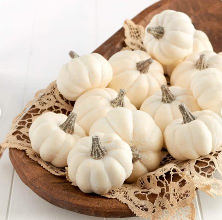 120 Count Vegetable Baby Boo Pumpkin Seeds Mini White Pumpkins