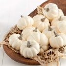 120 Count Vegetable Baby Boo Pumpkin Seeds Mini White Pumpkins