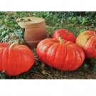 120 Count Vegetable Cinderella Pumpkin Seeds Red Pumpkins Squash