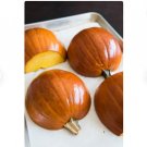 40 Count Vegetable Pumpkin Pie Sugar Pumpkin Seeds Winter Squash Fall Autumn