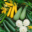 120 Count Vegetable 5 Species Summer Squash Mix Seeds