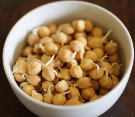180 Count Vegetable Chickpea Seeds Garbanzo Egyptian Vegan