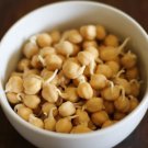 180 Count Vegetable Chickpea Seeds Garbanzo Egyptian Vegan