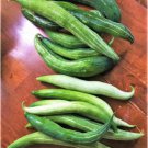 60 Count Vegetable Buag Ngu Snake Gourd Seeds White Striped Green Serpent
