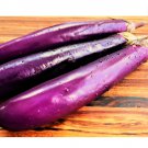 1200 Count Vegetable Chinese Eggplant Seeds Purple Shine Aubergine Ping Tung