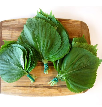 600 Count Vegetable Korean Perilla (Shiso) Seeds Kaennip Gaennip Sesame Beefsteak Leaf