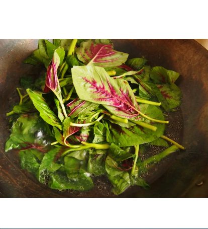 3000 Count Vegetable Red Leaf Amaranth Seeds Amaranthus tricolor Spinach Yin Choi Xiancai