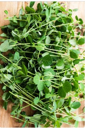 240 Count Vegetable Seeds Plant Sweet Shelling Peas Asian Shoots Snap Snow Seed