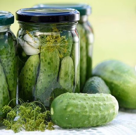 180 Count Vegetable Seeds Plant National Pickling Cucumber Seeds Gherkins Pickles FREE SHIP