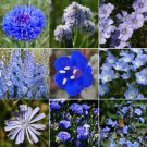 FREE SHIP 9 Species Mix Blue Wildflower Seeds Multi Variety Baby Blue Eyes