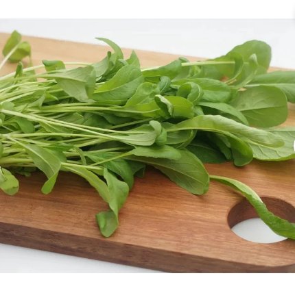 1200 Count Vegetable Seeds Mibuna Mustard Greens Seeds Japanese Spinach Lettuce