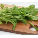 1200 Count Vegetable Seeds Mibuna Mustard Greens Seeds Japanese Spinach Lettuce