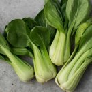 1200 Count Vegetable Seeds Mibuna Mustard Greens Seeds Japanese Spinach Lettuce