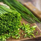 600 Count Vegetable Seeds Onion Chives Seeds Flower Green Onion Scallion