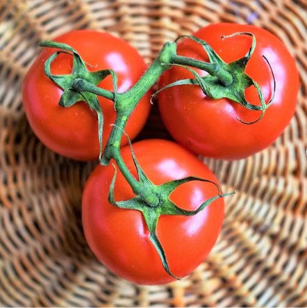 300 Count Vegetable Seeds Rutgers Tomato Seeds Best Flavor Thin Skin