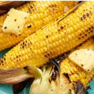 30 Count Vegetable Seeds Kandy Korn Yellow Sweet Corn Seeds Golden Early Harvest
