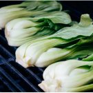 600 Count Vegetable Seeds Large White Stem Bok Choy Seeds Big Canton Joi Choi Chinese Cabbage