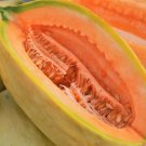 Banana Cantaloupe Seeds Oblong Orange Flesh Yellow Casaba Sweet 90 Count Fruit Seeds