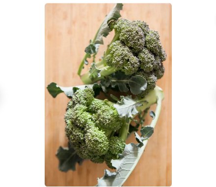 Vegetable Seeds 600 Count Green Sprouting Calabrese Broccoli Seeds