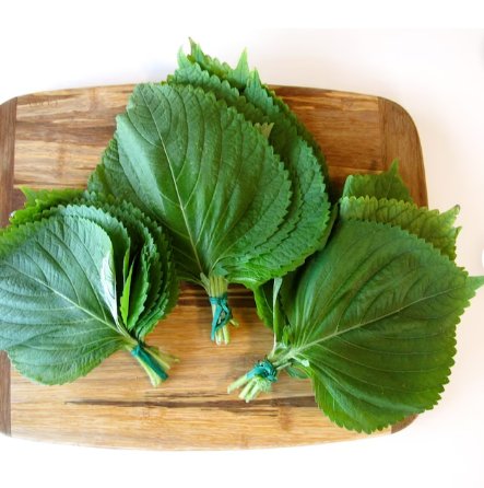 Vegetable Seeds 600 Count Korean Perilla (Shiso) Seeds Kaennip Gaennip Sesame Beefsteak
