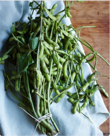Vegetable Seeds 120 Count Triple Play Japanese Edamame Soybean Seeds Bean Korean Chinese