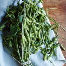 Vegetable Seeds 120 Count Triple Play Japanese Edamame Soybean Seeds Bean Korean Chinese