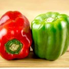 Vegetable Seeds 300 Count California Wonder Sweet Bell Pepper Seeds