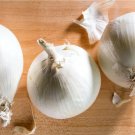 Seeds Vegetable 4 LB Snowball White Onion Sets (Starter Bulbs)