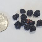 90 Seeds Schisandra Seeds Schisandra chinensis Magnolia Berry Vine Five-Flavor Fruit