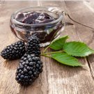 1 Potted Plant Blackberry Columbia Giant Thornless For Garden Or Home Plant Fruit