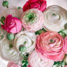 Plant Flower 40 Bulbs Tecolote Pastel Collection Ranunculus For Garden Or Home