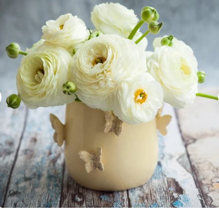 Ranunculus Tecolote White 10 Bulbs Plant Flower For Garden Or Home