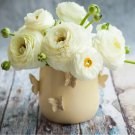 Ranunculus Tecolote White 10 Bulbs Plant Flower For Garden Or Home