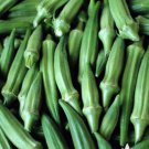 60 Seeds Vegetable Emerald Green Velvet Okra Seeds