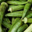 Okra Seeds 240 Seeds Vegetable Emerald Green Velvet