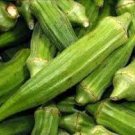 Emerald Green Okra Seeds 480 Seeds Vegetable Velvet