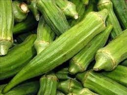 Emerald Green Okra Seeds 480 Seeds Vegetable Velvet