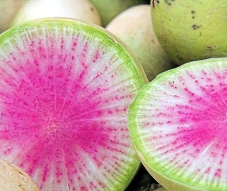 75 Seeds Plant Vegetable Watermelon Radish Seeds