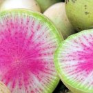 75 Seeds Plant Vegetable Watermelon Radish Seeds