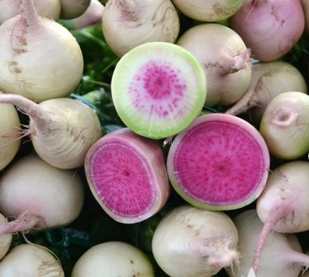 Watermelon Radish Seeds 300 Seeds Plant Vegetable