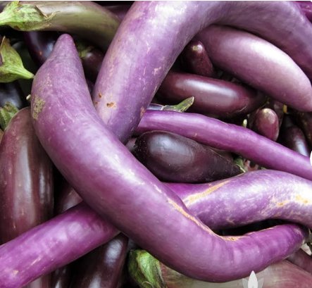 80 Seeds Plant Ping Tung Eggplant Seeds Vegetable