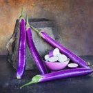 Plant Ping Tung Vegetable 640 Seeds Eggplant Seeds